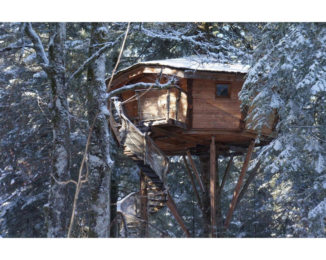 Cabanes Des Volcans La Tour-dʼAuvergne Exterior foto