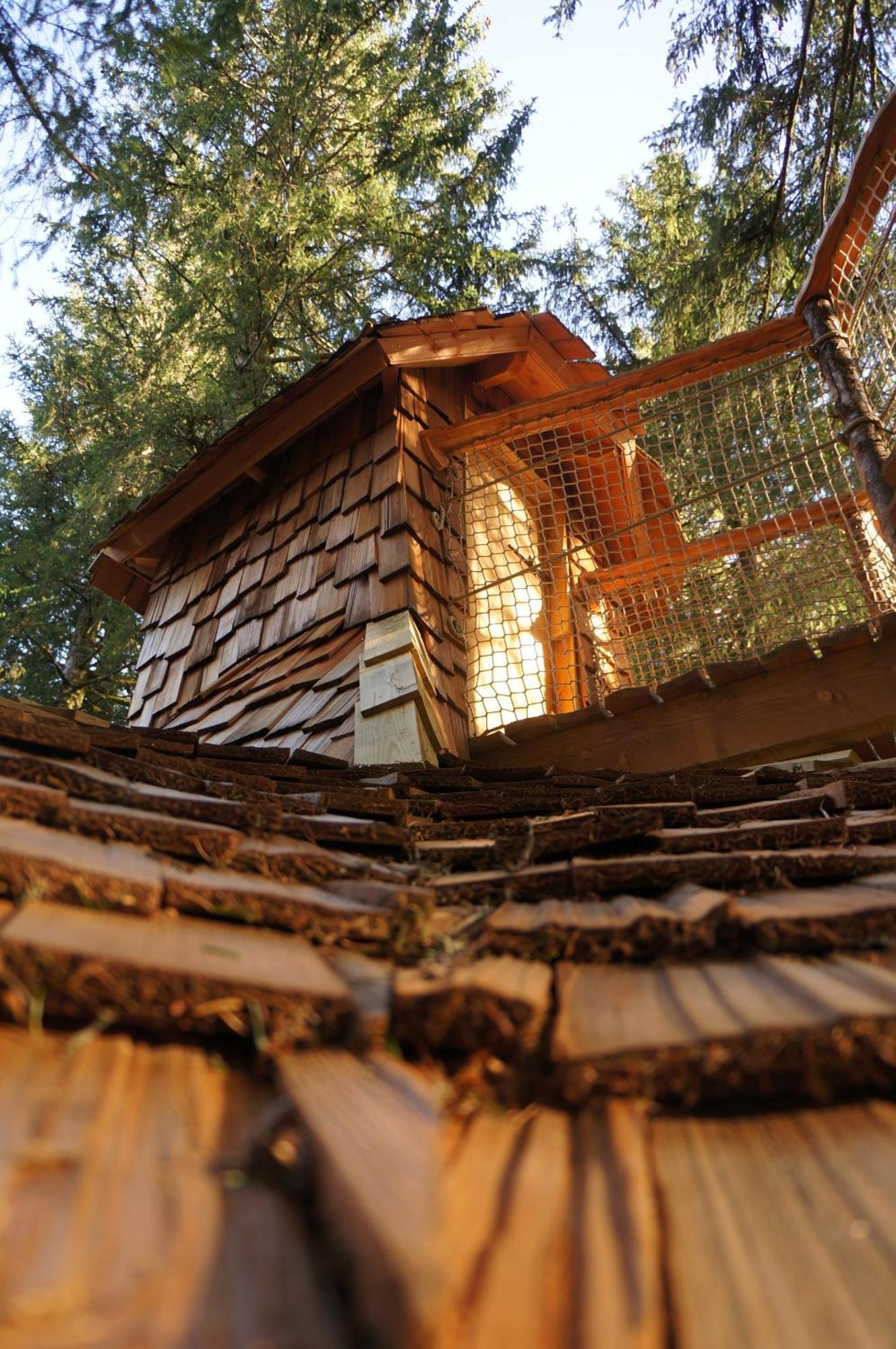 Cabanes Des Volcans La Tour-dʼAuvergne Habitación foto